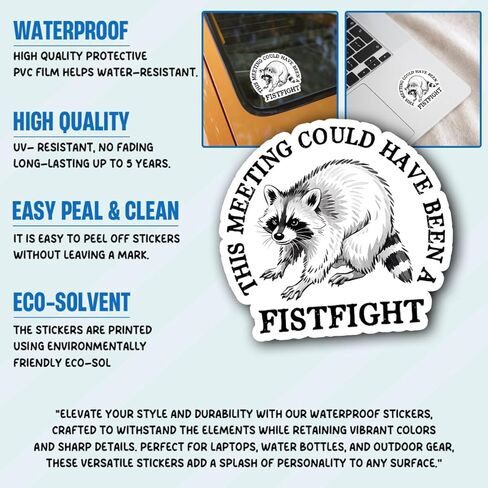 3Pcs This Meeting Could Have Been A Fistfight Sticker Mental Health Raccoon Gift This Meeting Could Have Been A Fistfight Raccoon Stickers Car Decal for Laptop Water Bottle Toolbox Case (F1, 3") in Saudi Arabia