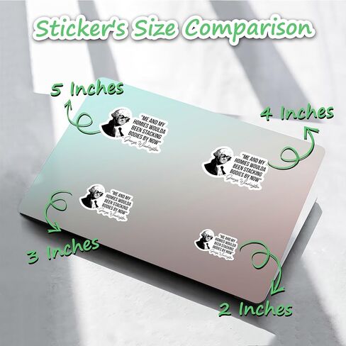 314PI (3pcs) Me & My Homies Woulda Been Stacking Bodies by Now Sticker, Sarcastic Water Assistant Funny Meme Stickers, Funny Decal for Water Bottle Phone Laptop, Gift for Girls Boys Adults (Size 3") in Saudi Arabia