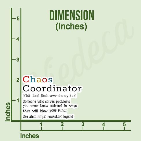 (3pcs) Chaos Coordinator Definition Sticker Funny Sayings Sarcastic Quotes Vinyl Decal for Tumbler Laptop Kindle Water Bottles Books Phone - Size 3x2.2 Inches in Saudi Arabia