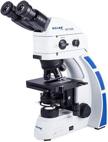 Biological LED Fluorescence Microscope in Saudi Arabia