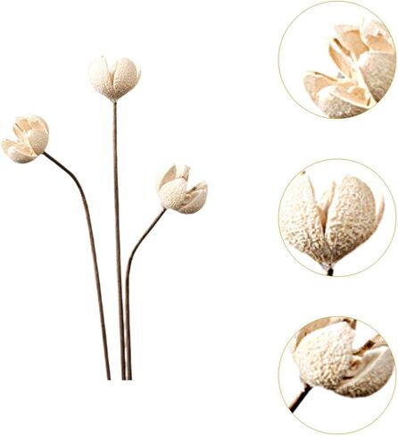 Generic زهرة مجففة لمزهرية نباتات مجففة ترتيب زهور ديكور ريفي DIY قطعة مركزية لطاولة غرفة النوم وحفلة عيد الميلاد، نمط G in Kuwait