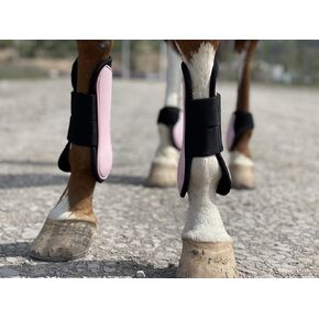 Ride Now Horse Tendon Boots Open Front/Fetlock Boot for Horse Set of 4