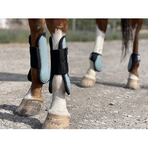 حذاء Ride Now Horse Tendon مفتوح من الأمام/حذاء Fetlock للحصان، مجموعة من 4 قطع in Saudi Arabia