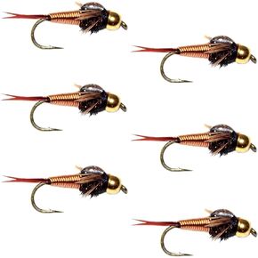 The Fly Fishing Place Tungsten Bead Head Copper John Nymph Fly Fishing Flies - Set of 6 Flies Hook Size 14