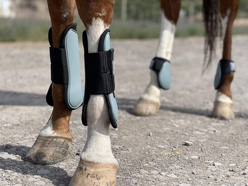 Ride Now Horse Tendon Boots Open Front/Fetlock Boot for Horse Set of 4 in Saudi Arabia