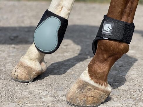Ride Now Horse Tendon Boots Open Front/Fetlock Boot for Horse Set of 4 in Saudi Arabia