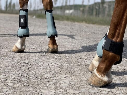 Ride Now Horse Tendon Boots Open Front/Fetlock Boot for Horse Set of 4 in Saudi Arabia