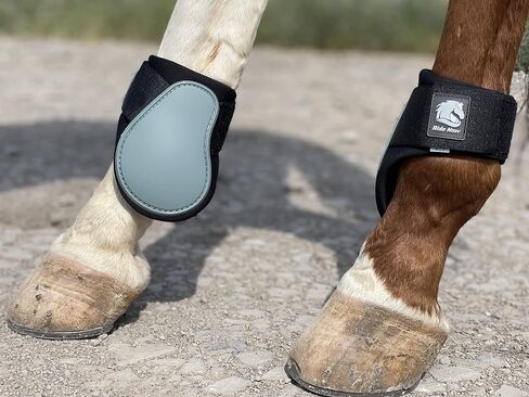 Ride Now Horse Tendon Boots Open Front/Fetlock Boot for Horse Set of 4 in Saudi Arabia