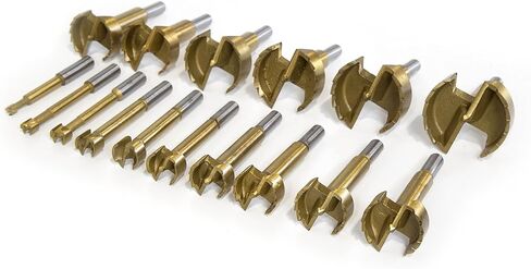 WEN FB16 16-Piece Forstner Bit Set with Carrying Case (1/4 to 2-1/8 inch) in Saudi Arabia