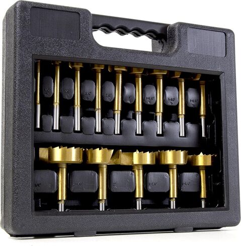 WEN FB16 16-Piece Forstner Bit Set with Carrying Case (1/4 to 2-1/8 inch) in Saudi Arabia