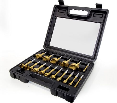 WEN FB16 16-Piece Forstner Bit Set with Carrying Case (1/4 to 2-1/8 inch) in Saudi Arabia