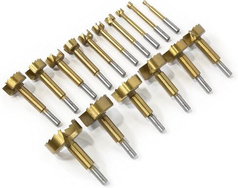 WEN FB16 16-Piece Forstner Bit Set with Carrying Case (1/4 to 2-1/8 inch) in Saudi Arabia