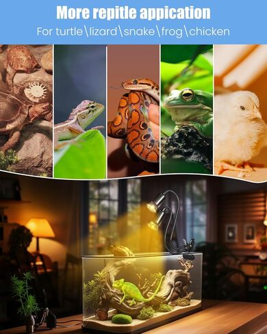 مصباح Luxvista الحراري للزواحف، مؤقت دورة ذكي لإضاءة الزواحف مزدوج الرأس، مصباح حراري سلحفاة قابل للدوران 360 درجة للتنين الملتحي والسلحفاة والسحلية والثعابين والمزيد (بحد أقصى 100 وات، بدون لمبة) in Kuwait