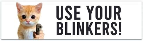 El Gato "use your blinkers" bumper sticker [00036] in Saudi Arabia