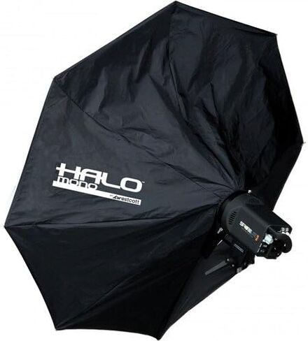 Westcott 2026 45-Inch Round Halo - Mono (Black) in Saudi Arabia