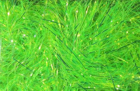 Hareline Polar Reflector Flash Chenille Chartreuse in Kuwait