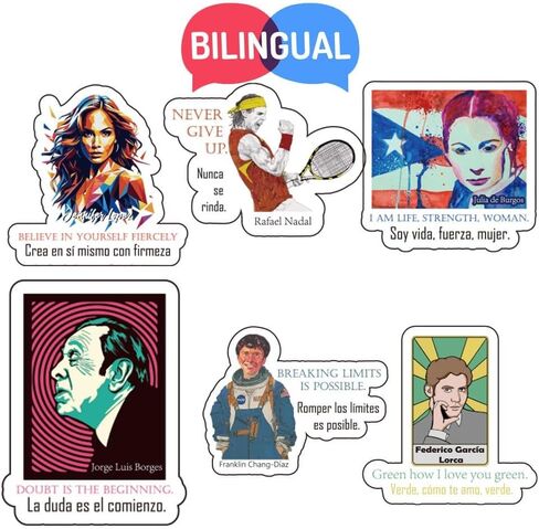 ملصقات Chingona المضحكة للنساء المكسيكيات - ملصقات للهاتف والكمبيوتر المحمول وزجاجة المياه وسجل القصاصات - هدايا المكسيك in Kuwait