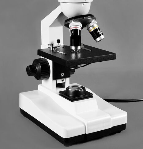مجهر مركب من Vision Scientific ذو عرض مزدوج، عدسات WF 10x و25x WF، تكبير 40x-1000x، إضاءة LED، تركيز خشن محوري ودقيق، مسرح كبير، كاميرا عدسة رقمية بدقة 5.0 ميجابكسل in Saudi Arabia