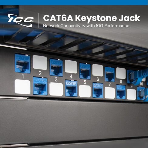 ICC CAT6A Keystone Jack مع IDC مضمن لا يوجد زوج من الأسلاك المنفصلة (إنهاء أسهل) UL مدرج PoE++ TAA متوافق مع لوحة الحائط أو لوحة التصحيح، يعمل مع أداة إنهاء JackEasy، أزرق، 25 حزمة in Kuwait