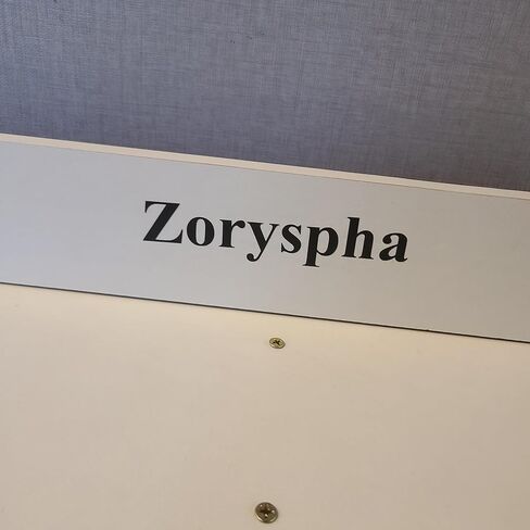 خزائن الكتب Zoryspha - تخزين متعدد الوظائف، هيكل عمودي بسيط ومتعدد الاستخدامات، مما يزيد من مساحة الأرضية in Kuwait