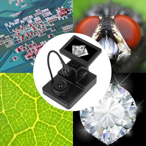 مجهر رقمي بحجم الخصر تكبير 1000X، شاشة LCD كبيرة، تركيز قابل للتعديل، رؤية واضحة مع وضوح واضح لتفاصيل النبات، الجلد in Kuwait