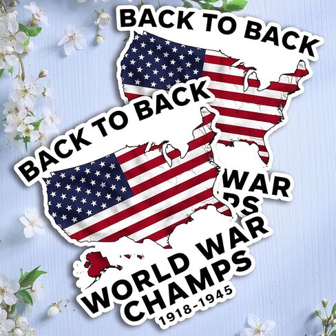 ملصق مضحك وطني عصري من الخلف إلى الخلف لخريطة الولايات المتحدة الأمريكية World War Champ Meme لجسم السيارة، والهواتف، والكمبيوتر المحمول، والنوافذ، وأجهزة الكمبيوتر، والكوب، والخوذ، 2 بوصة، أبيض in Kuwait
