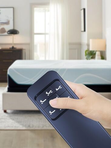 PZL Replaced Remote Control for Malouf Structures E255 140705584, Naomi Home 12811G 12811-02 Adjustable Bed Base, for Richmat HJC25 HJC26 109380C250041 SN25C230944288, for Dr. Oz NL200UB NL200U in Saudi Arabia