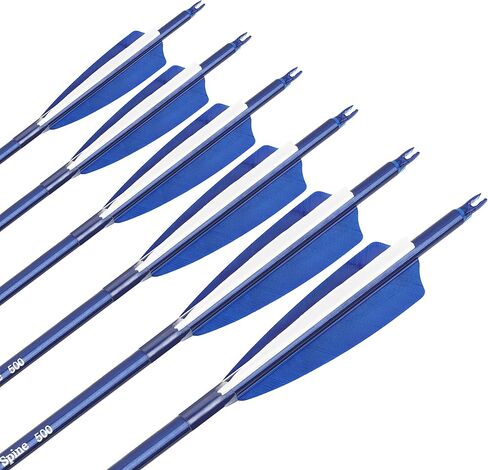 31 "سهام كربون الرماية الصيد السهام 500 العمود الفقري مع الريش Fletched الهدف ممارسة السهام لمجمع الرماية و منحني و القوس الطويل 6/12 قطعة in Kuwait