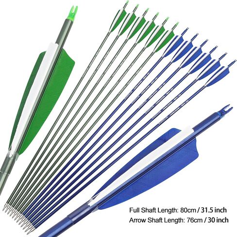 31 "سهام كربون الرماية الصيد السهام 500 العمود الفقري مع الريش Fletched الهدف ممارسة السهام لمجمع الرماية و منحني و القوس الطويل 6/12 قطعة in Kuwait