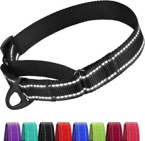CollarDirect Martingale Dog Collar Nylon Safety Training Tribal Pattern Adjustable Heavy Duty Collars for Dogs Medium Large (Pattern 3, Extra Large, Neck Size 19"-24") in Saudi Arabia