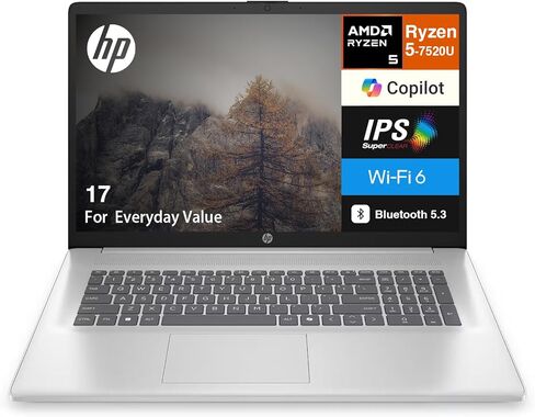 HP 17 Everyday Value Laptop 17.3" IPS FHD Display (AMD Ryzen 5 7520U, 8GB LPDDR5, 512GB SSD, AMD Radeon, WiFi 6, Webcam, Bluetooth 5.3, Win 11 Home) w/DKZ USB Port Expander in Saudi Arabia