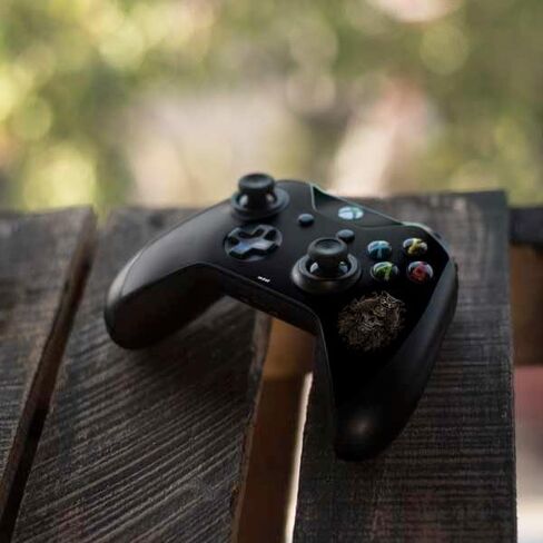 Skinit Decal Gaming Skin Compatible with Xbox One S Controller - Officially Licensed Sarah Richter Skull and Owl by Sarah Richter Design in Saudi Arabia