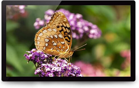 Digital Photo Frames Black/White 27-inch Digital HD IPS Screen Wall-Mounted Advertising Player Video Player Product Size: 66 * 39.8 * 3.5CM (White) (Black) in Saudi Arabia