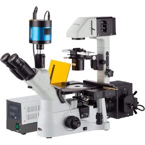 AmScope 40X-1500X تباين الطور المقلوب + مجهر مضان مع كاميرا منخفضة الإضاءة للغاية بدقة 6 ميجابكسل in Kuwait