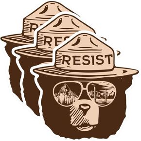 مجموعة شارات الفينيل من Resist Ranger Bear، مقاس 3 بوصة، لمسة نهائية لامعة، مقاومة للأشعة فوق البنفسجية، دب على شكل رسوم متحركة مع نظارات شمسية طيار لزجاجات المياه وأجهزة الكمبيوتر المحمولة والسيارات in Kuwait