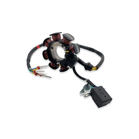 Motorcycle 8/12 Pole Magneto Fly Wheel Rotor Generator Stator Coil Ignition for ZONGSHEN ZS174MN-3 CBS300 ZS174MN-5 NB300(12-Poles Rotor) in Saudi Arabia