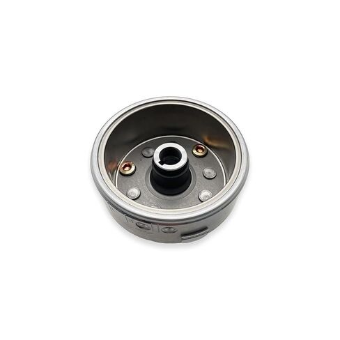 Motorcycle 8/12 Pole Magneto Fly Wheel Rotor Generator Stator Coil Ignition for ZONGSHEN ZS174MN-3 CBS300 ZS174MN-5 NB300(12-Poles Rotor) in Saudi Arabia