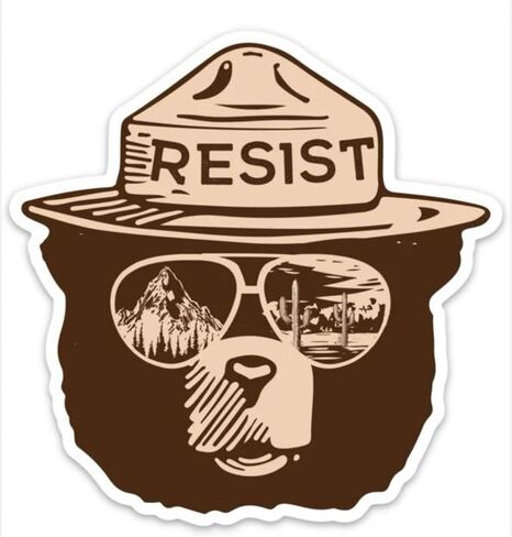 مجموعة شارات الفينيل من Resist Ranger Bear، مقاس 3 بوصة، لمسة نهائية لامعة، مقاومة للأشعة فوق البنفسجية، دب على شكل رسوم متحركة مع نظارات شمسية طيار لزجاجات المياه وأجهزة الكمبيوتر المحمولة والسيارات in Kuwait