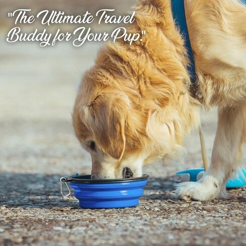 Collapsible Dog Bowls for Travel, 2-Pack Portable Dog Water Bowl for Medium and Small Dogs Cats Pet Foldable Feeding Watering Dish for Traveling Camping Walking w/ 2 Carabiners, BPA Free (Aqua) in Kuwait
