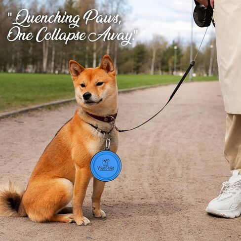 Collapsible Dog Bowls for Travel, 2-Pack Portable Dog Water Bowl for Medium and Small Dogs Cats Pet Foldable Feeding Watering Dish for Traveling Camping Walking w/ 2 Carabiners, BPA Free (Aqua) in Kuwait