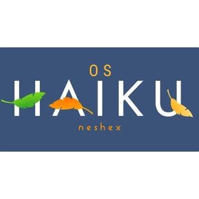 Haiku OS Latest Bootable USB Flash Drive in Kuwait