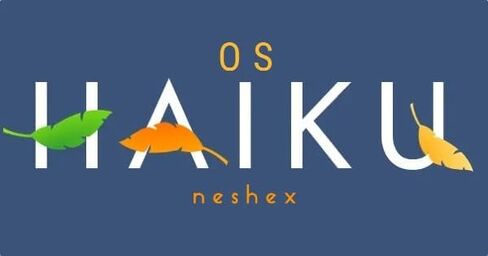 Haiku OS أحدث محرك أقراص فلاش USB قابل للتشغيل in Kuwait