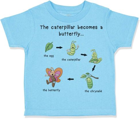 Toddler T-Shirt Insects How A Caterpillar Becomes A Butterfly Hungry Caterpillar Cotton Insects Boy & Girl Clothes Butterfly Transformation Baby Funny Tee Aqua Blue Design Only 3T in Saudi Arabia