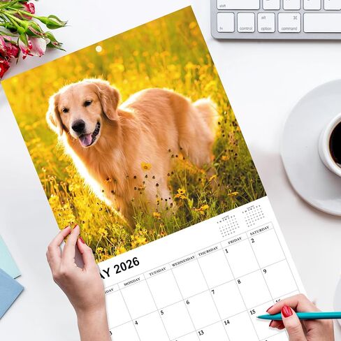 2026 Calendar - Gag Gifts, 2026 Wall Calendars JAN 2026 - DEC 2026, White Elephant Gifts, Funny Calendars 2026, 11" x 17" (Open), 12 Monthly Calendar Planner, Dogs Calendar 2026 in Saudi Arabia