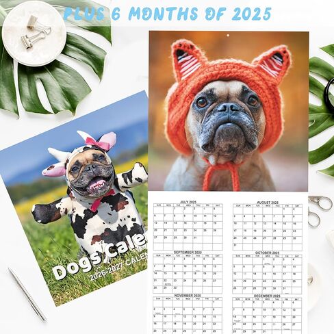 2026 Calendar - Gag Gifts, 2026 Wall Calendars JAN 2026 - DEC 2026, White Elephant Gifts, Funny Calendars 2026, 11" x 17" (Open), 12 Monthly Calendar Planner, Dogs Calendar 2026 in Saudi Arabia
