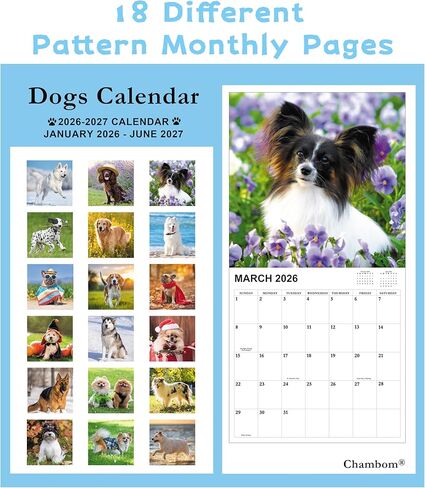 2026 Calendar - Gag Gifts, 2026 Wall Calendars JAN 2026 - DEC 2026, White Elephant Gifts, Funny Calendars 2026, 11" x 17" (Open), 12 Monthly Calendar Planner, Dogs Calendar 2026 in Saudi Arabia