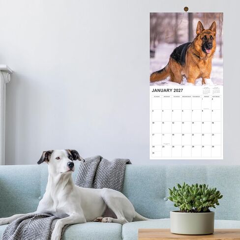 2026 Calendar - Gag Gifts, 2026 Wall Calendars JAN 2026 - DEC 2026, White Elephant Gifts, Funny Calendars 2026, 11" x 17" (Open), 12 Monthly Calendar Planner, Dogs Calendar 2026 in Saudi Arabia