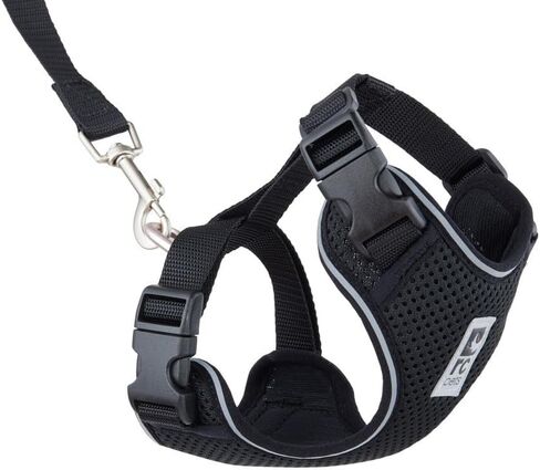 RC Pets Adventure Kitty Cat Harness | سترة جوية قابلة للتعديل مع حلقة مد و 6 أقدام للمشي والسفر | خطوط متعددة ، متوسطة in Saudi Arabia