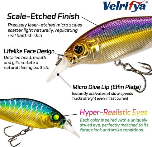 Hybrid Crankbaits/Jerkbait for Bass Fishing-Shallow Diving Crank Shad for Bass Crappie Walleye Pike, Cold Water for Winter and Spring Fishing, for Freshwater and Saltwater in Saudi Arabia