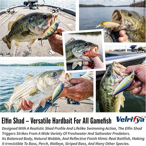Hybrid Crankbaits/Jerkbait for Bass Fishing-Shallow Diving Crank Shad for Bass Crappie Walleye Pike, Cold Water for Winter and Spring Fishing, for Freshwater and Saltwater in Saudi Arabia